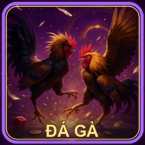 Đá Gà Trực Tiếp 55win11